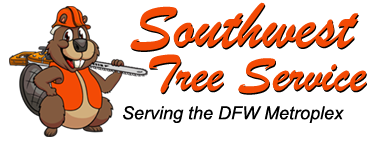Southwest Tree Service