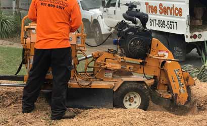 Stump Grinding