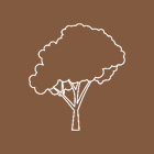 Tree Health
