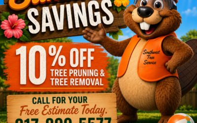 Summer Savings – 10% OFF Tree Pruning and Tree Removal